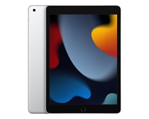 Планшет Apple iPad 10.2 (2021) Wi-Fi + Cellular 256Gb Silver