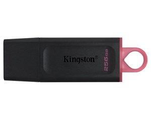 Накопитель USB Kingston DataTraveler Exodia 256GB Black/Red