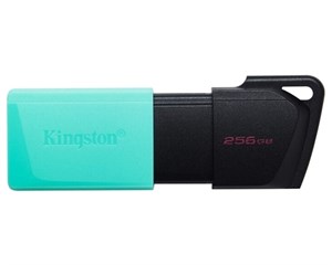 Накопитель USB Kingston Data Traveler Exodia M 256GB Black/Turquoise