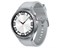 Samsung Galaxy Watch 6 Classic SM-R960 47mm Silver