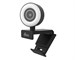 Web-камера Ritmix RVC-250 Black. Изображение 1.