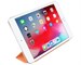 Чехол Apple Smart Cover Papaya для Apple iPad mini (2019). Изображение 3.