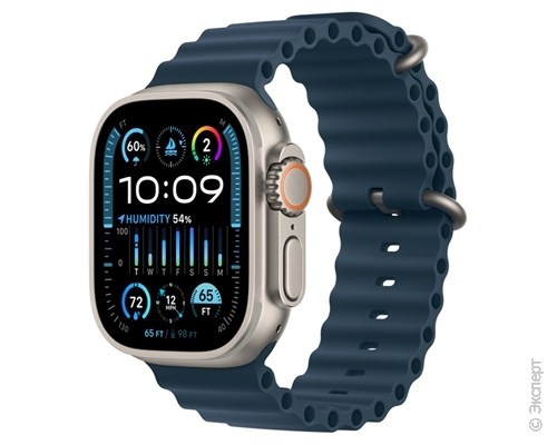 Apple Watch Ultra 2 Titanium Case GPS + Cellular 49mm with Blue Ocean Band. Изображение 1.
