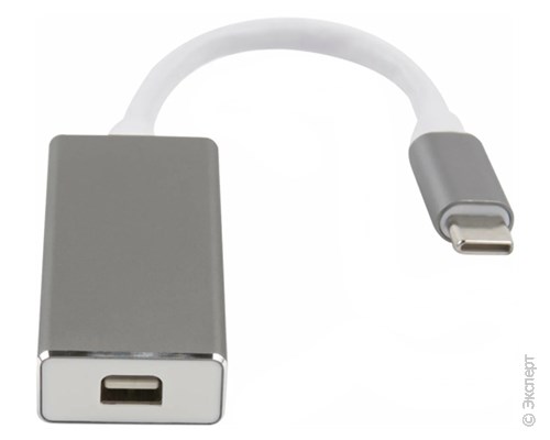Адаптер Barn&Hollis Type-C - mini-DisplayPort для MacBook, Grey. Изображение 1.