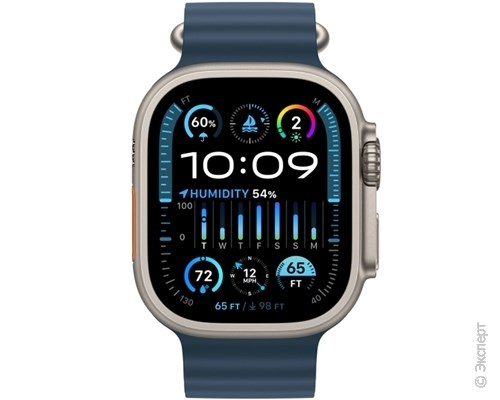 Apple Watch Ultra 2 Titanium Case GPS + Cellular 49mm with Blue Ocean Band. Изображение 2.